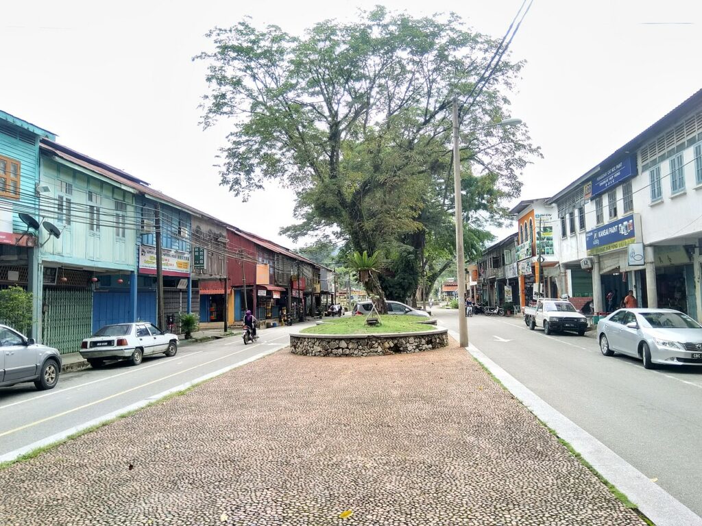 林明镇街景